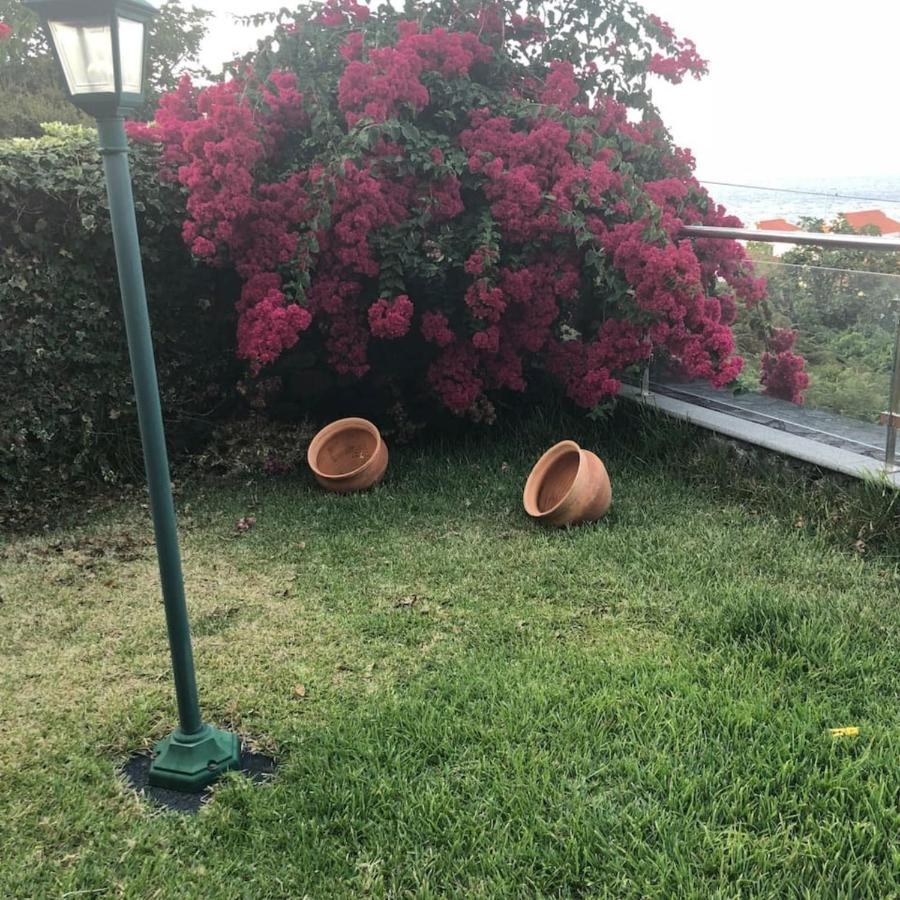 Lovely Sea View 3-Bed House In P Delgada Madeira Ponta Delgada  Exterior photo